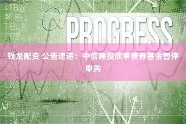 钱龙配资 公告速递：中信建投欣享债券基金暂停申购