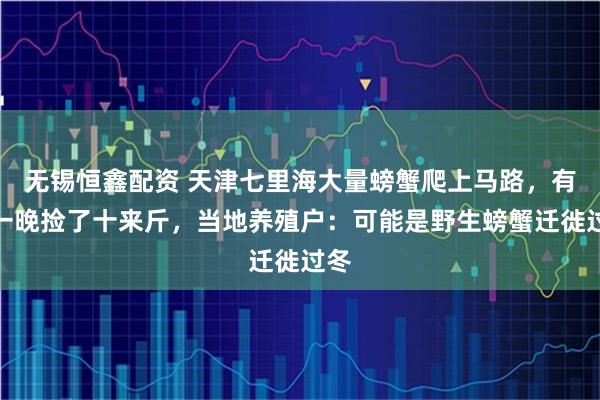 无锡恒鑫配资 天津七里海大量螃蟹爬上马路，有人一晚捡了十来斤，当地养殖户：可能是野生螃蟹迁徙过冬