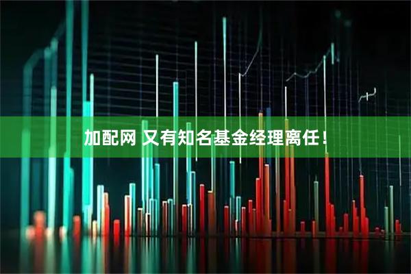 加配网 又有知名基金经理离任!