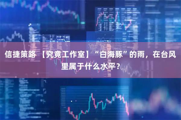 信捷策路 【究竟工作室】“白海豚”的雨，在台风里属于什么水平？
